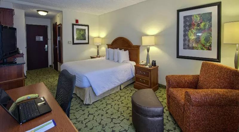 キングサイズベッドのスタンダードルーム, Hilton Garden Inn Auburn/opelika