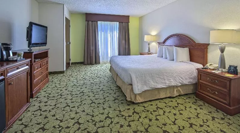 キングサイズベッドのスタンダードルーム, Hilton Garden Inn Auburn/opelika