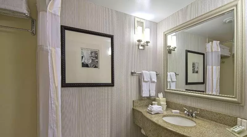 キングサイズベッドのスタンダードルーム, Hilton Garden Inn Auburn/opelika