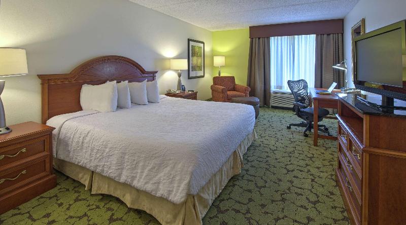 스탠다드 룸 킹사이즈 침대, Hilton Garden Inn Auburn/opelika