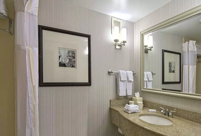 スタンダードルーム, Hilton Garden Inn Auburn/opelika