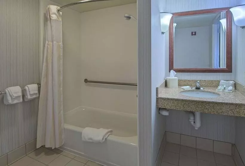 身障者適用スタンダードルーム, Hilton Garden Inn Auburn/opelika