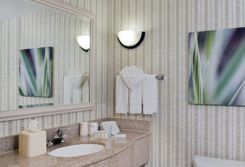 חדר סטנדרט, Hilton Garden Inn Charlotte Pineville