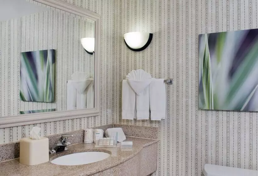 スタンダードルーム, Hilton Garden Inn Charlotte Pineville
