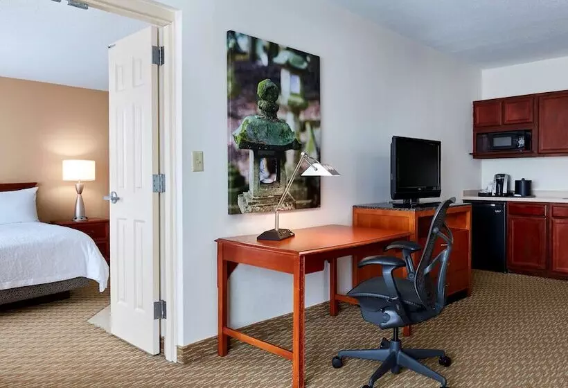 ハイドロマッサージバス付きスイート, Hilton Garden Inn Charlotte Pineville