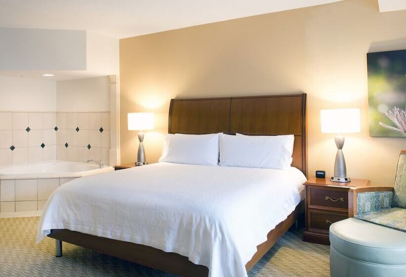 Люкс с гидромассажем, Hilton Garden Inn Charlotte Pineville