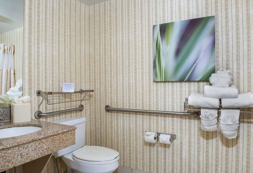 סוויטה עם ג'קוזי, Hilton Garden Inn Charlotte Pineville