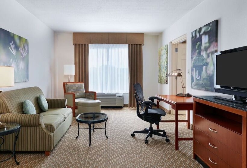סוויטה עם ג'קוזי, Hilton Garden Inn Charlotte Pineville