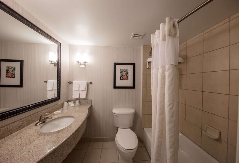 חדר סטנדרט עם מיטת קינג, Hilton Garden Inn Columbia/harbison