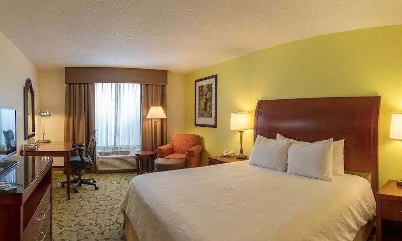اتاق استاندارد با تخت بزرگ, Hilton Garden Inn Columbia/harbison