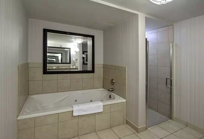 اتاق استاندارد با تخت بزرگ, Hilton Garden Inn Columbia/harbison