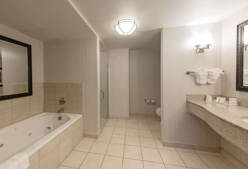 Cameră Standard Pat King Size, Hilton Garden Inn Columbia/harbison