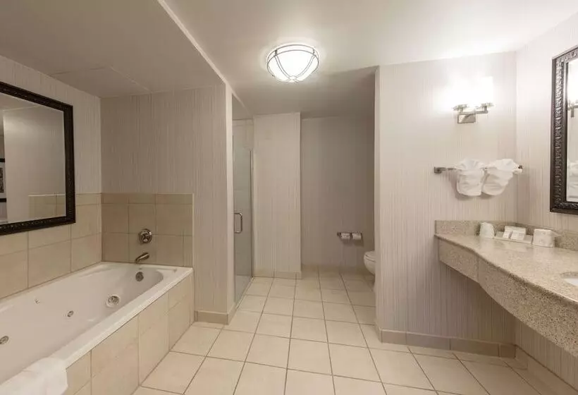 اتاق استاندارد با تخت بزرگ, Hilton Garden Inn Columbia/harbison
