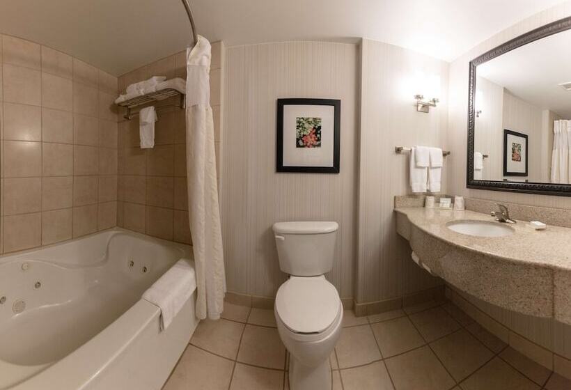 חדר סטנדרט עם מיטת קינג, Hilton Garden Inn Columbia/harbison