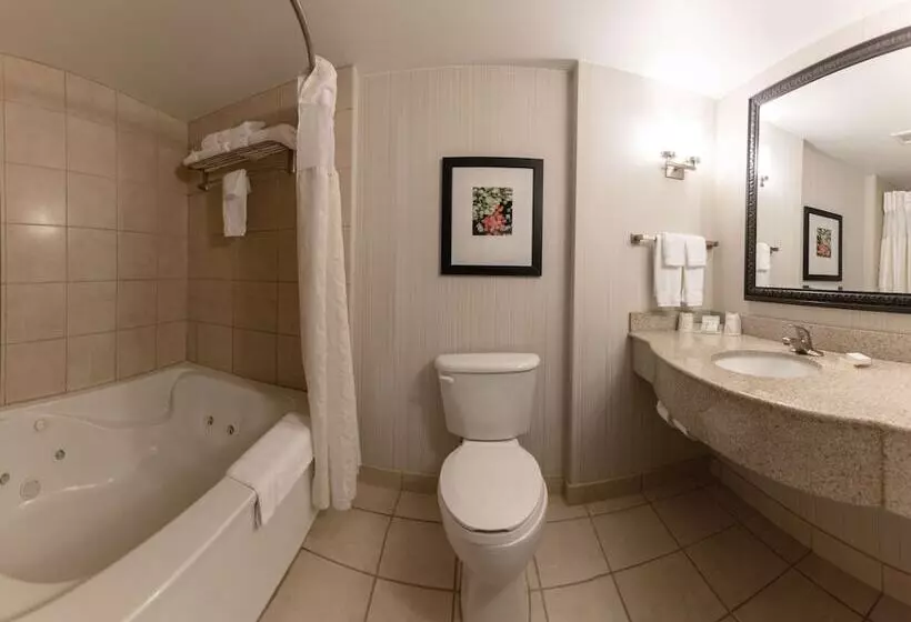 اتاق استاندارد با تخت بزرگ, Hilton Garden Inn Columbia/harbison