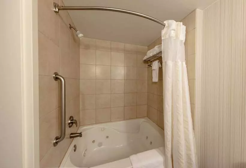 اتاق استاندارد با تخت بزرگ, Hilton Garden Inn Columbia/harbison