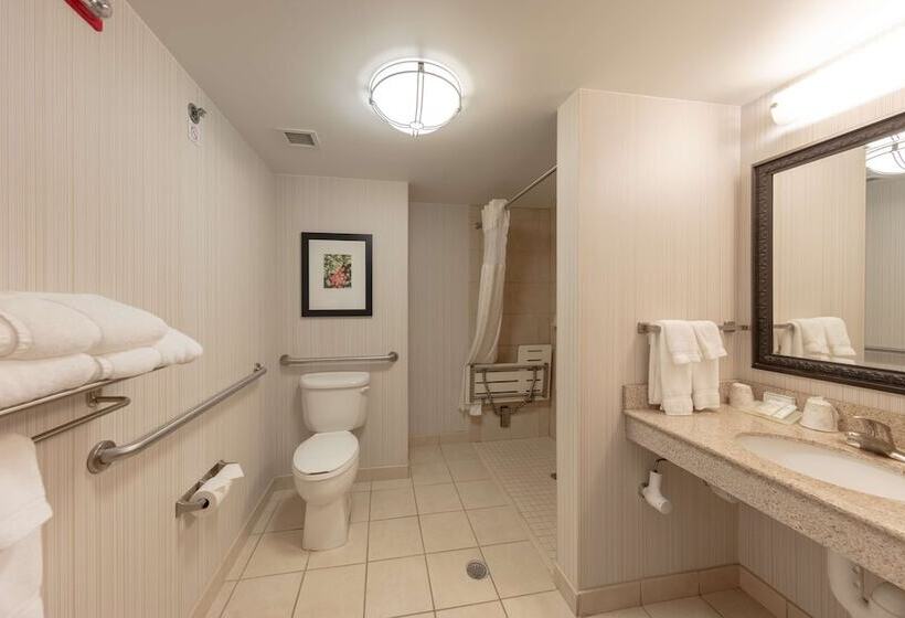 חדר סטנדרט, מיטת קינג, מותאם לאדם עם מוגבלויות, Hilton Garden Inn Columbia/harbison