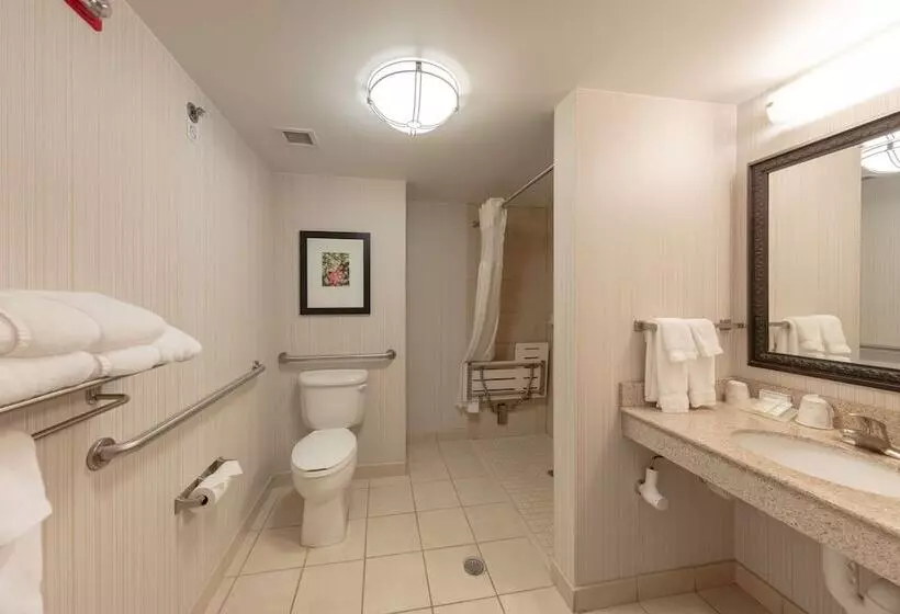اتاق استاندارد با تخت بزرگ برای معلولان, Hilton Garden Inn Columbia/harbison