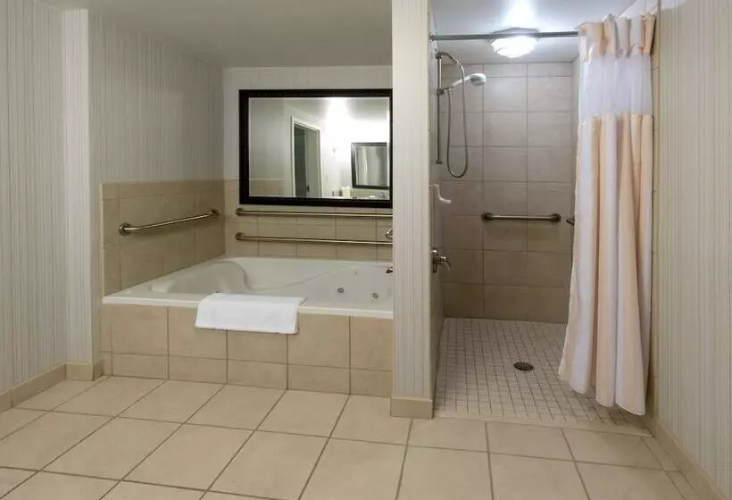 Standard Room King Bed Adapted for people with reduced mobility