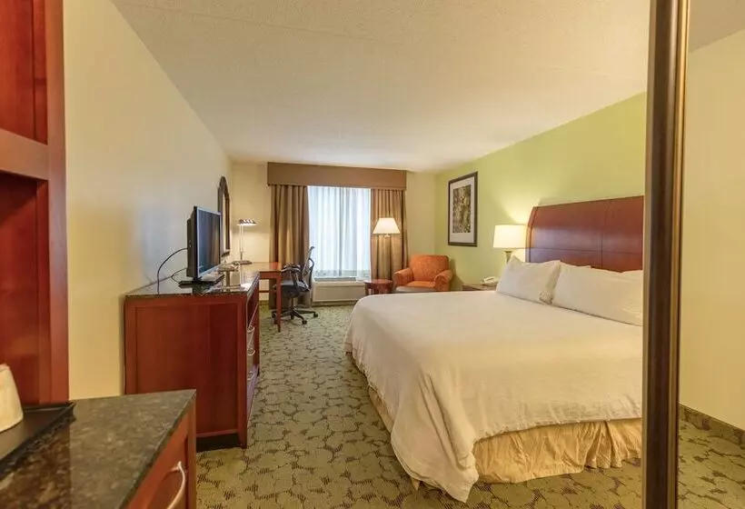 اتاق استاندارد با تخت بزرگ برای معلولان, Hilton Garden Inn Columbia/harbison