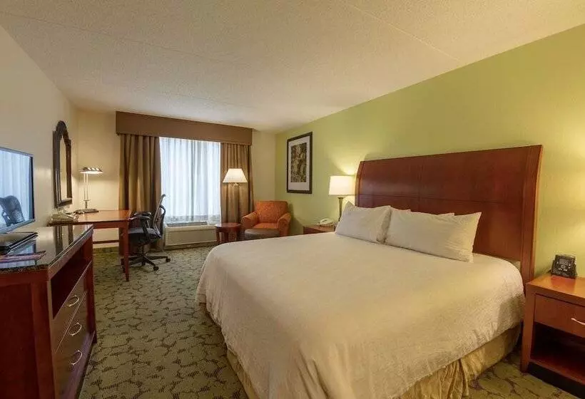 اتاق استاندارد با تخت بزرگ برای معلولان, Hilton Garden Inn Columbia/harbison
