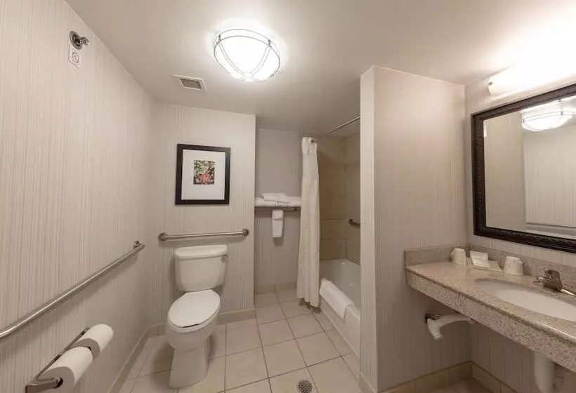 اتاق استاندارد با تخت بزرگ برای معلولان, Hilton Garden Inn Columbia/harbison