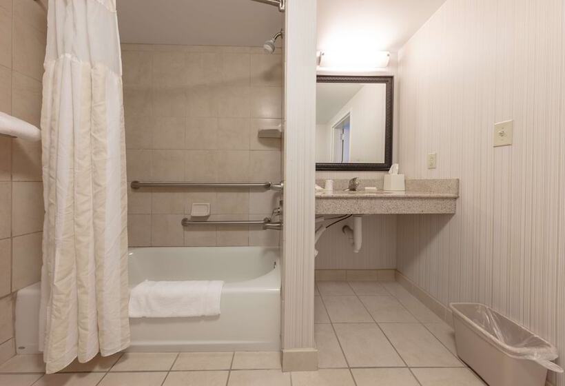 חדר סטנדרט, מיטת קינג, מותאם לאדם עם מוגבלויות, Hilton Garden Inn Columbia/harbison