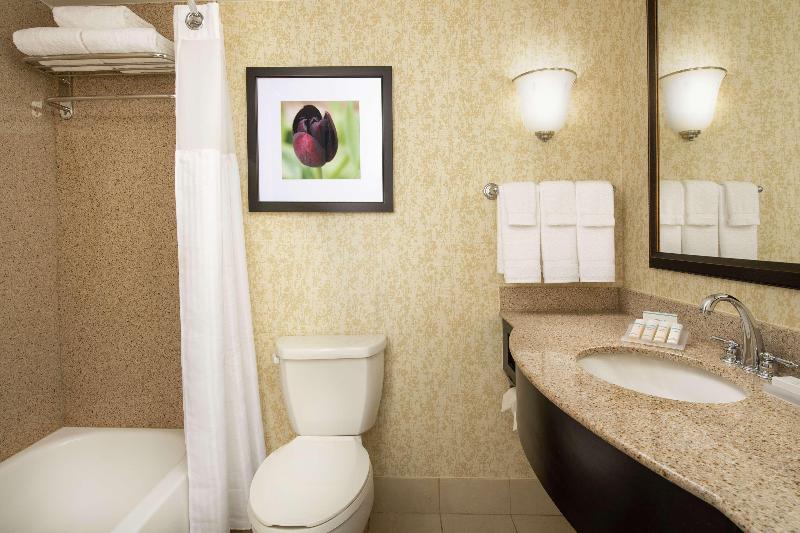 프리미엄 룸, Hilton Garden Inn Frederick