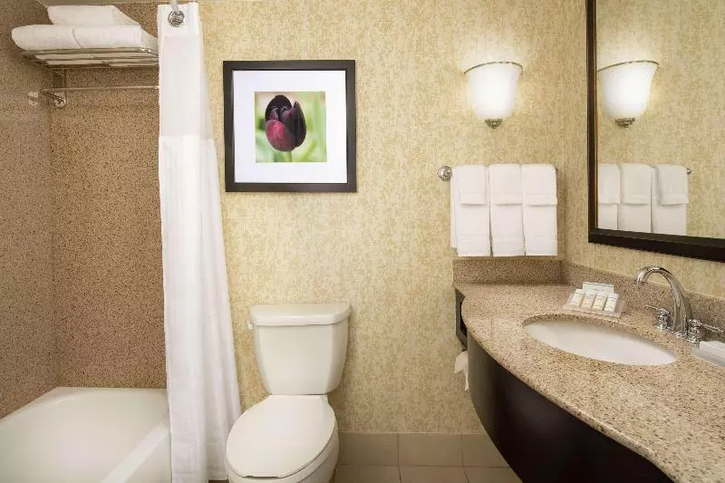 キングサイズベッドのジュニアスイート, Hilton Garden Inn Frederick