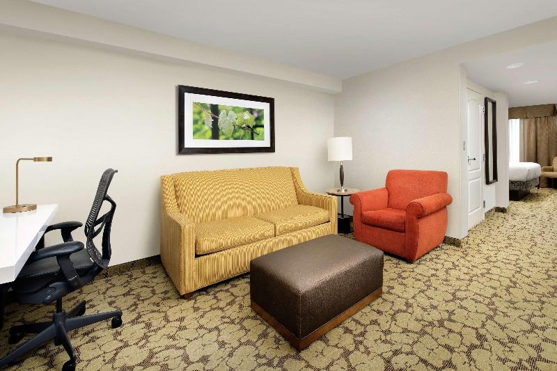 جناح جونيور سرير كينج, Hilton Garden Inn Frederick