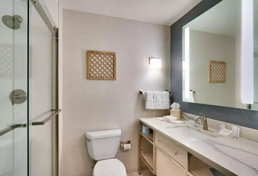 اتاق استاندارد با تخت دوبل, Hilton Garden Inn Idaho Falls
