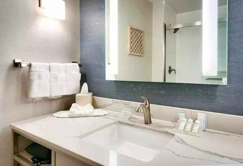 اتاق استاندارد با تخت دوبل, Hilton Garden Inn Idaho Falls
