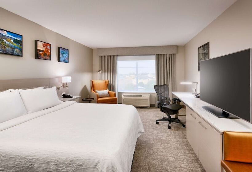 חדר סטנדרט מיטה זוגית, Hilton Garden Inn Idaho Falls