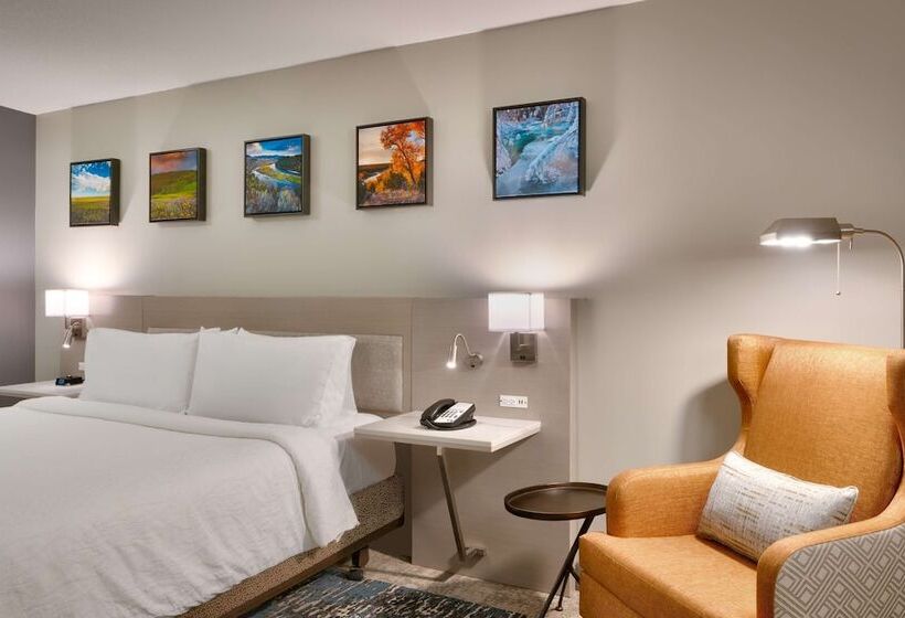 Номер Стандарт Двуспальная Кровать, Hilton Garden Inn Idaho Falls
