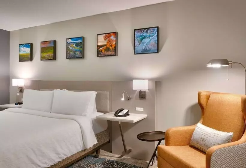 اتاق استاندارد با تخت دوبل, Hilton Garden Inn Idaho Falls