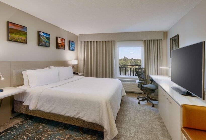 חדר סטנדרט מיטה זוגית, Hilton Garden Inn Idaho Falls