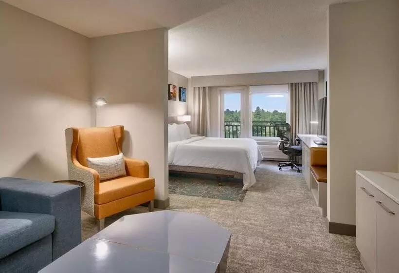 اتاق استاندارد با تخت دوبل, Hilton Garden Inn Idaho Falls