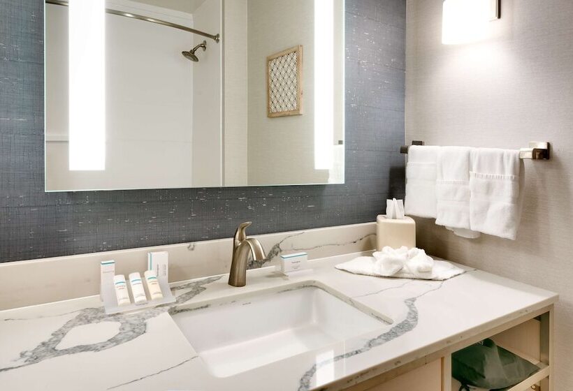 חדר סטנדרט, Hilton Garden Inn Idaho Falls