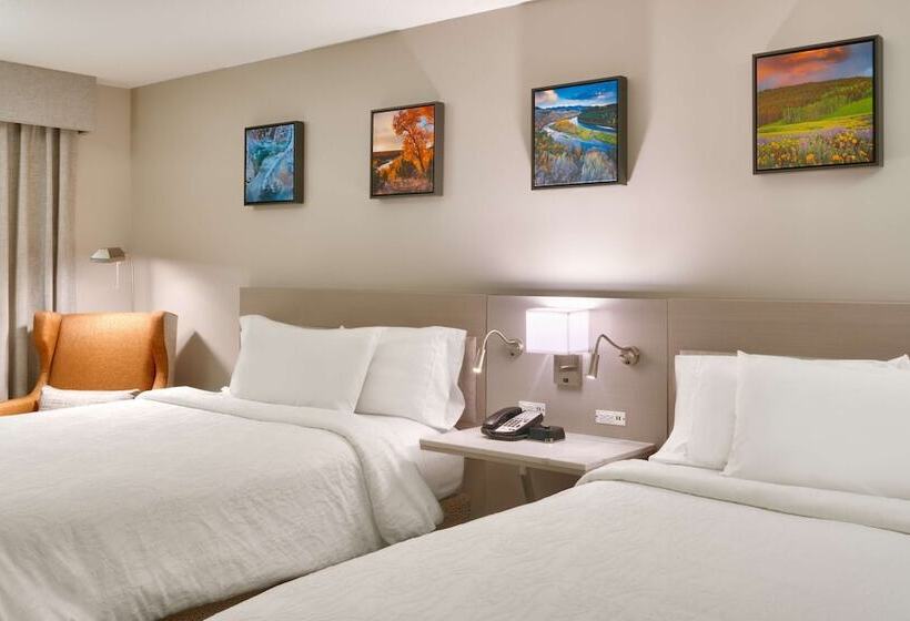 חדר סטנדרט, Hilton Garden Inn Idaho Falls