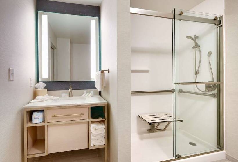 חדר סטנדרט מיטה זוגית, Hilton Garden Inn Idaho Falls