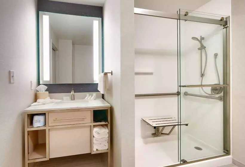 اتاق استاندارد با تخت دوبل, Hilton Garden Inn Idaho Falls