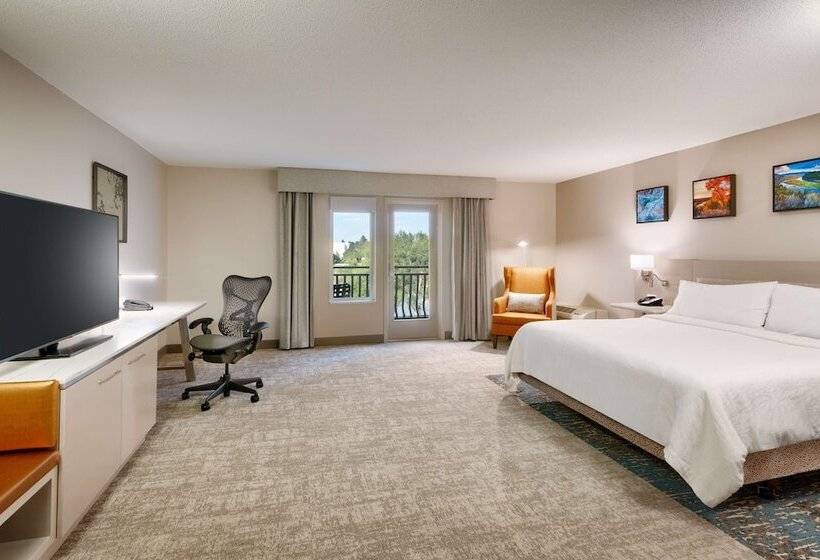 חדר סטנדרט מיטה זוגית, Hilton Garden Inn Idaho Falls