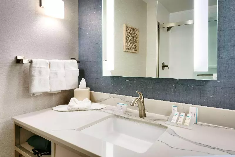 اتاق استاندارد با تخت بزرگ, Hilton Garden Inn Idaho Falls