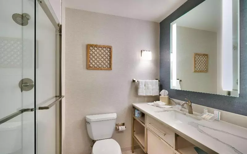اتاق استاندارد با تخت بزرگ, Hilton Garden Inn Idaho Falls