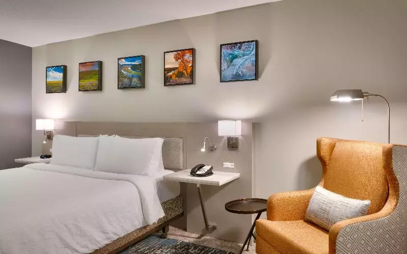 اتاق استاندارد با تخت بزرگ, Hilton Garden Inn Idaho Falls