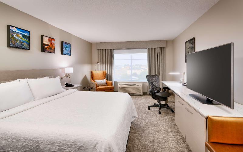 חדר סטנדרט עם מיטת קינג, Hilton Garden Inn Idaho Falls
