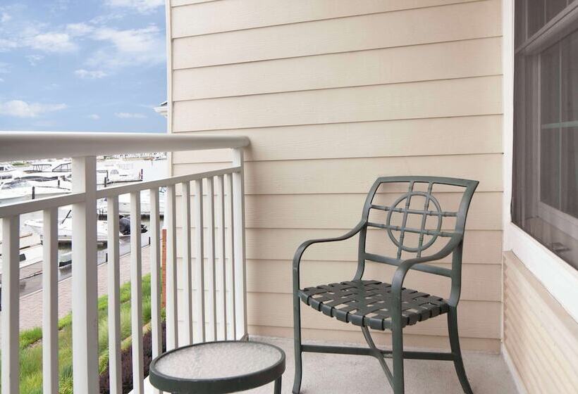 适合残疾人使用的标准间, Hilton Garden Inn Kent Island Marina