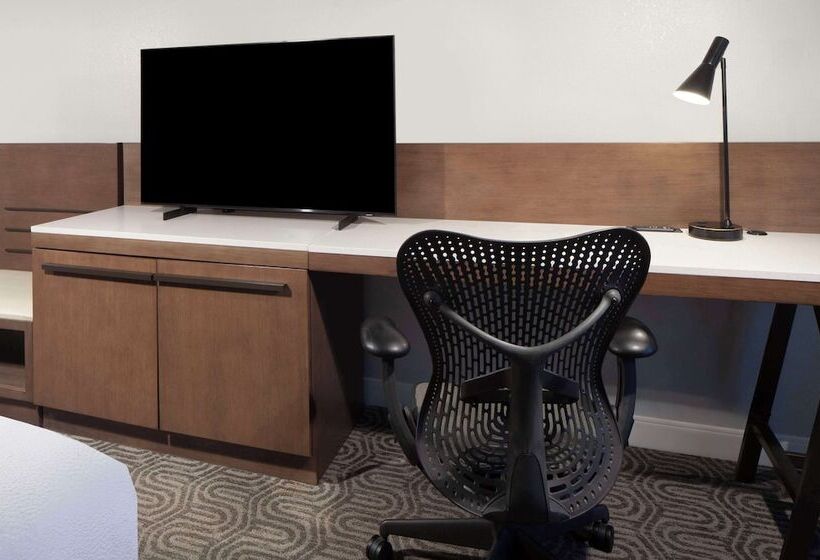 장애인을 위한 스탠다드 룸, Hilton Garden Inn Kent Island Marina