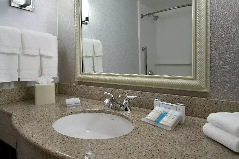 Deluxe-huone King-vuode, Hilton Garden Inn Sonoma County Airport