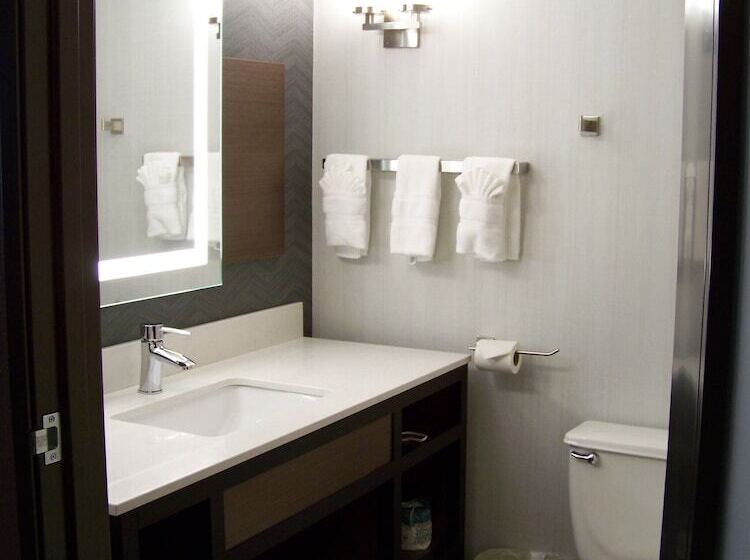 Номер Стандарт, Hilton Garden Inn Des Moines West